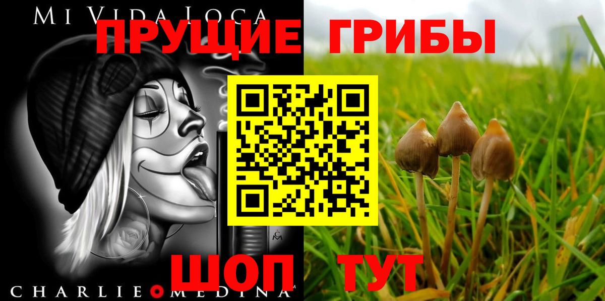 Псилоцибиновые грибы Cubensis  Вход с VPN  Комсомольск-на-Амуре 
